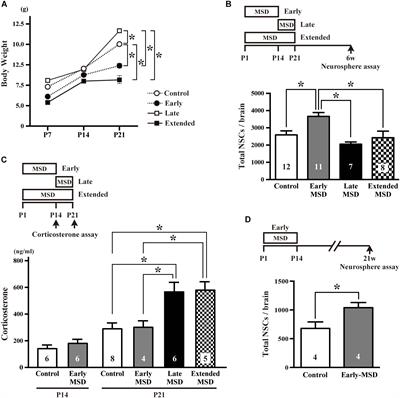 Early Maternal and Social Deprivation Expands Neural Stem Cell Population Size and Reduces Hippocampus/Amygdala-Dependent Fear Memory